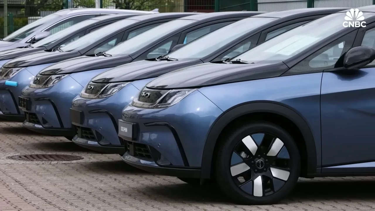 BYD electric vehicles lined up in Mexico