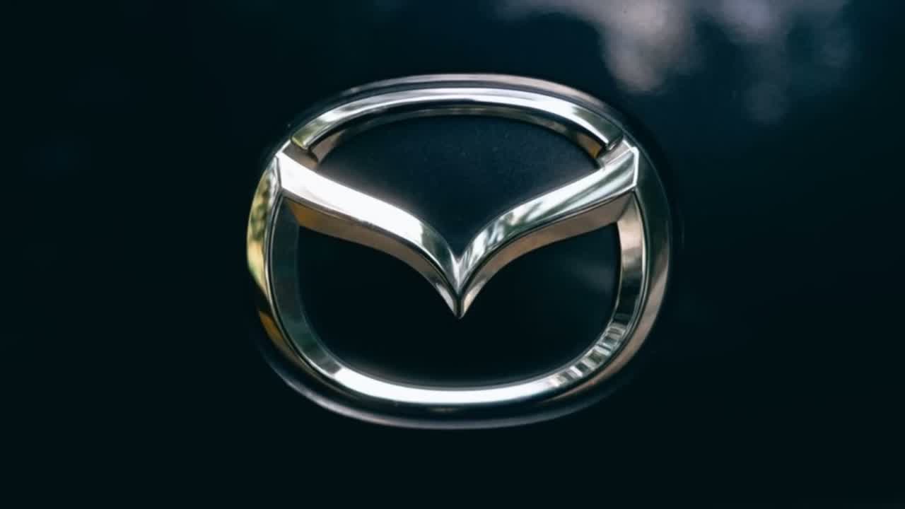 BYD Dolphin Surf displayed at a European auto show