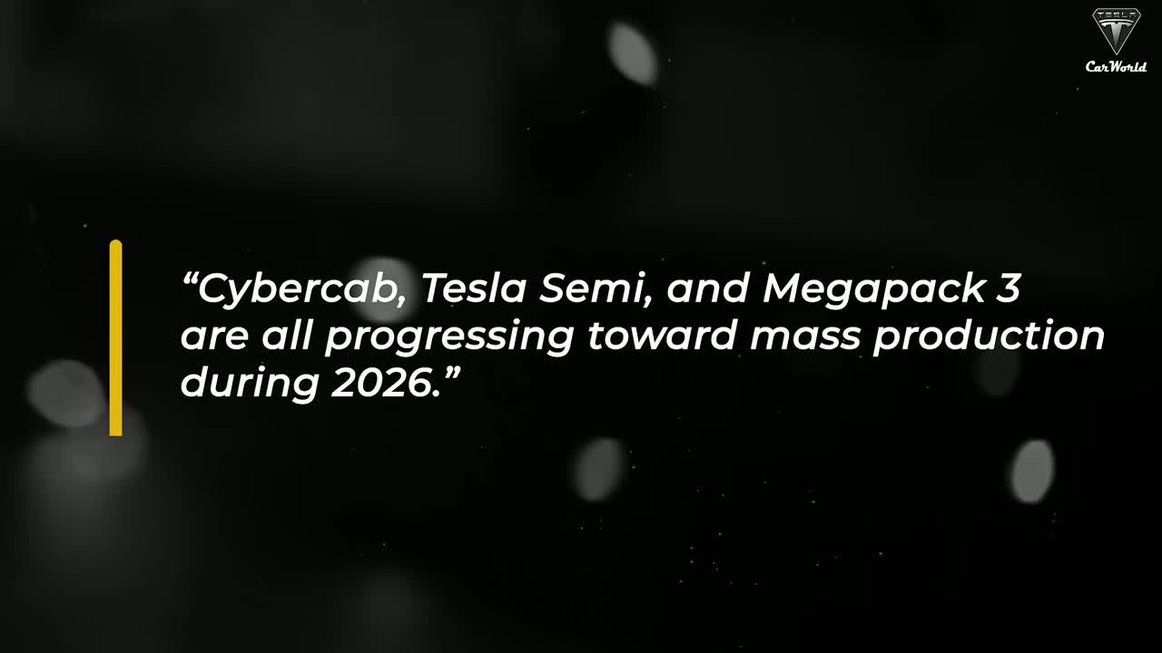 Tesla Full Self-Driving interface visualization